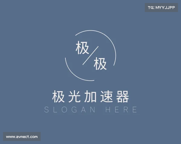 了解极光加速器